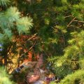 0508kampluxemburg1189