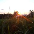 0508kampluxemburg155