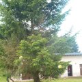 0508kampluxemburg166