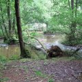 0508kampluxemburg3187