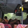 0508kampluxemburg3230