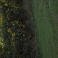 0508kampluxemburg3239