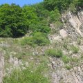 0508kampluxemburg328