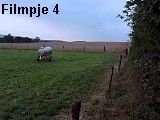 0508zokampavi-_3