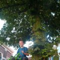 0509vrijwillig1