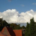 0509vrijwillig49
