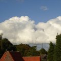 0509vrijwillig50