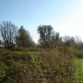 0511rsawkdkamp33