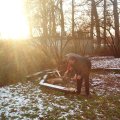 0512kerst15