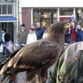 0512kerstmarkt30