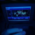 0512lanparty6