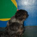 0603groumet108
