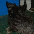 0603groumet88