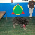 0603groumet91