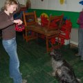0603groumet95