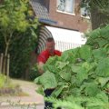 0606strspeeldag53