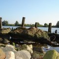 0608rsa719explimzee-dl1126