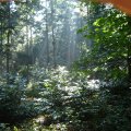 0608rsa719explimzee-dl1131