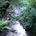 0608rsa719explimzee-dl1183