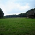0608rsa719explimzee-dl1187