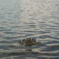 0608rsa719explimzee-dl1199
