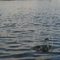 0608rsa719explimzee-dl1200