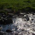0608rsa719explimzee-dl1214