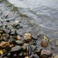 0608rsa719explimzee-dl1241
