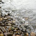 0608rsa719explimzee-dl1242