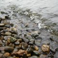 0608rsa719explimzee-dl1244