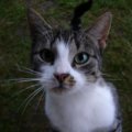 0608rsa719explimzee-dl1248