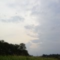 0608rsa719explimzee-dl153