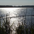 0608rsa719explimzee-dl16