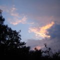 0608rsa719explimzee-dl163