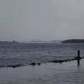 0608rsa719explimzee-dl167