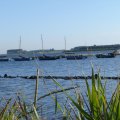 0608rsa719explimzee-dl17