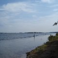0608rsa719explimzee-dl223
