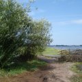 0608rsa719explimzee-dl231