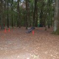 0609stamactivlead13