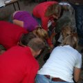 0609stamactivlead45
