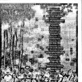 0610bosduvel5