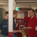 0702stkbrdoefen77