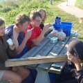 0708ommen132