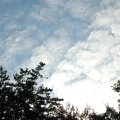 0708ommen23