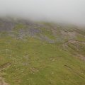 0708schotland183