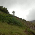 0708schotland199