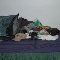 0708schotland220