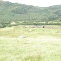 0708schotland303