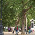 0708schotland54