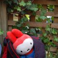 0708schotland77
